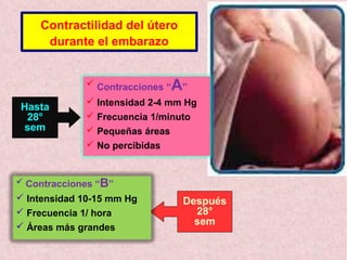 Contractilidad del útero
durante el embarazo
Hasta
28°
sem
 Contracciones “A”
 Intensidad 2-4 mm Hg
 Frecuencia 1/minuto
 Pequeñas áreas
 No percibidas
Después
28°
sem
 Contracciones “B”
 Intensidad 10-15 mm Hg
 Frecuencia 1/ hora
 Áreas más grandes
 