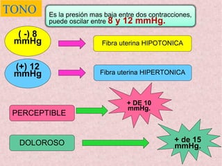 TONO Es la presión mas baja entre dos contracciones,
puede oscilar entre 8 y 12 mmHg.
( -) 8
mmHg
(+) 12
mmHg
Fibra uterina HIPOTONICA
Fibra uterina HIPERTONICA
PERCEPTIBLE
DOLOROSO
+ DE 10
mmHg.
+ de 15
mmHg.
 