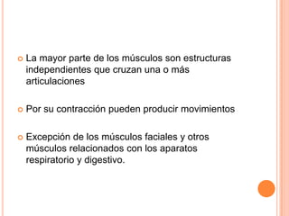  La mayor parte de los músculos son estructuras
independientes que cruzan una o más
articulaciones
 Por su contracción pueden producir movimientos
 Excepción de los músculos faciales y otros
músculos relacionados con los aparatos
respiratorio y digestivo.
 