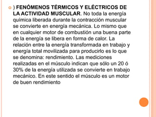  ) FENÓMENOS TÉRMICOS Y ELÉCTRICOS DE
LA ACTIVIDAD MUSCULAR. No toda la energía
química liberada durante la contracción muscular
se convierte en energía mecánica. Lo mismo que
en cualquier motor de combustión una buena parte
de la energía se libera en forma de calor. La
relación entre la energía transformada en trabajo y
energía total movilizada para producirlo es lo que
se denomina: rendimiento. Las mediciones
realizadas en el músculo indican que sólo un 20 ó
30% de la energía utilizada se convierte en trabajo
mecánico. En este sentido el músculo es un motor
de buen rendimiento
 