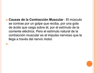  Causas de la Contracción Muscular : El músculo
se contrae por un golpe que reciba, por una gota
de ácido que caiga sobre él, por el estímulo de la
corriente eléctrica. Pero el estímulo natural de la
contracción muscular es el impulso nervioso que le
llega a través del nervio motor.

 