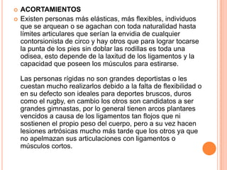  ACORTAMIENTOS
 Existen personas más elásticas, más flexibles, individuos
que se arquean o se agachan con toda naturalidad hasta
límites articulares que serían la envidia de cualquier
contorsionista de circo y hay otros que para lograr tocarse
la punta de los pies sin doblar las rodillas es toda una
odisea, esto depende de la laxitud de los ligamentos y la
capacidad que poseen los músculos para estirarse.
Las personas rígidas no son grandes deportistas o les
cuestan mucho realizarlos debido a la falta de flexibilidad o
en su defecto son ideales para deportes bruscos, duros
como el rugby, en cambio los otros son candidatos a ser
grandes gimnastas, por lo general tienen arcos plantares
vencidos a causa de los ligamentos tan flojos que ni
sostienen el propio peso del cuerpo, pero a su vez hacen
lesiones artrósicas mucho más tarde que los otros ya que
no apelmazan sus articulaciones con ligamentos o
músculos cortos.
 