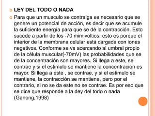 LEY DEL TODO O NADA
 Para que un musculo se contraiga es necesario que se
genere un potencial de acción, es decir que se acumule
la suficiente energía para que se dé la contracción. Esto
sucede a partir de los -70 mimivoltios, esto es porque el
interior de la membrana celular está cargada con iones
negativos. Conforme se va acercando al umbral propio
de la célula muscular(-70mV) las probabilidades que se
de la concentración son mayores. Si llega a este, se
contrae y si el estimulo se mantiene la concentración es
mayor. Si llega a este , se contrae, y si el estimulo se
mantiene, la contracción se mantiene, pero por el
contrario, si no se da este no se contrae. Es por eso que
se dice que responde a la dey del todo o nada
(Ganong,1998)
 