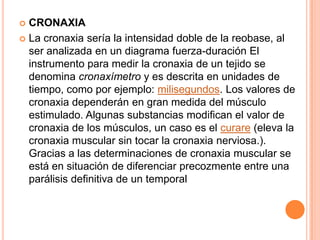 CRONAXIA
 La cronaxia sería la intensidad doble de la reobase, al
ser analizada en un diagrama fuerza-duración El
instrumento para medir la cronaxia de un tejido se
denomina cronaxímetro y es descrita en unidades de
tiempo, como por ejemplo: milisegundos. Los valores de
cronaxia dependerán en gran medida del músculo
estimulado. Algunas substancias modifican el valor de
cronaxia de los músculos, un caso es el curare (eleva la
cronaxia muscular sin tocar la cronaxia nerviosa.).
Gracias a las determinaciones de cronaxia muscular se
está en situación de diferenciar precozmente entre una
parálisis definitiva de un temporal
 