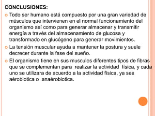 CONCLUSIONES:
 Todo ser humano está compuesto por una gran variedad de
músculos que intervienen en el normal funcionamiento del
organismo así como para generar almacenar y transmitir
energía a través del almacenamiento de glucosa y
transformado en glucógeno para generar movimientos.
 La tensión muscular ayuda a mantener la postura y suele
decrecer durante la fase del sueño.
 El organismo tiene en sus musculos diferentes tipos de fibras
que se complementan para realizar la actividad física, y cada
uno se utilizara de acuerdo a la actividad física, ya sea
aérobiotica o anaérobiotica.
 