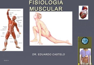 05/30/1405/30/14
FISIOLOGIAFISIOLOGIA
MUSCULARMUSCULAR
DR. EDUARDO CASTELODR. EDUARDO CASTELO
 