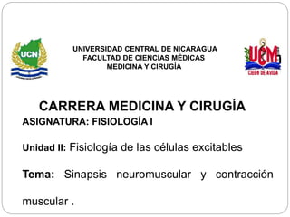 UNIVERSIDAD CENTRAL DE NICARAGUA
FACULTAD DE CIENCIAS MÉDICAS
MEDICINA Y CIRUGÍA
CARRERA MEDICINA Y CIRUGÍA
ASIGNATURA: FISIOLOGÍA I
Unidad II: Fisiología de las células excitables
Tema: Sinapsis neuromuscular y contracción
muscular .
 