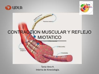 CONTRACCION MUSCULAR Y REFLEJO
MIOTATICO
Tania Vera H.
Interna de Kinesiologia.
 