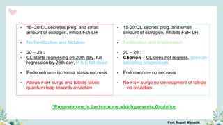 • 15–20:CL secretes prog. and small
amount of estrogen, inhibit Fsh LH
• No Fertilization and Nidation
• 20 – 28 :
• CL starts regressing on 20th day, full
regression by 28th day, P & E fall down
• Endometrium- ischemia stasis necrosis
• Allows FSH surge and follicle takes
quantum leap towards ovulation
• 15-20:CL secrets prog. and small
amount of estrogen, inhibits FSH LH
• Fertilization and Implantation
• 20 – 28 :
• Chorion – CL does not regress, goes on
secreting progesteron,
• Endometrim– no necrosis
• No FSH surge no development of follicle
– no ovulation
*Progesterone is the hormone which prevents Ovulation
Prof. Rupali Mahadik
 