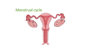 Menstrual cycle
 
