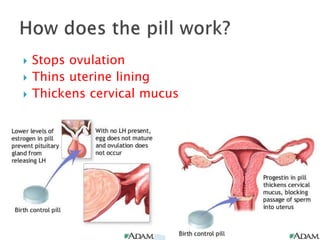  Stops ovulation
 Thins uterine lining
 Thickens cervical mucus
 