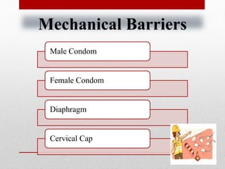Mechanical Barriers
Male Condom
Female Condom
Diaphragm
Cervical Cap
 