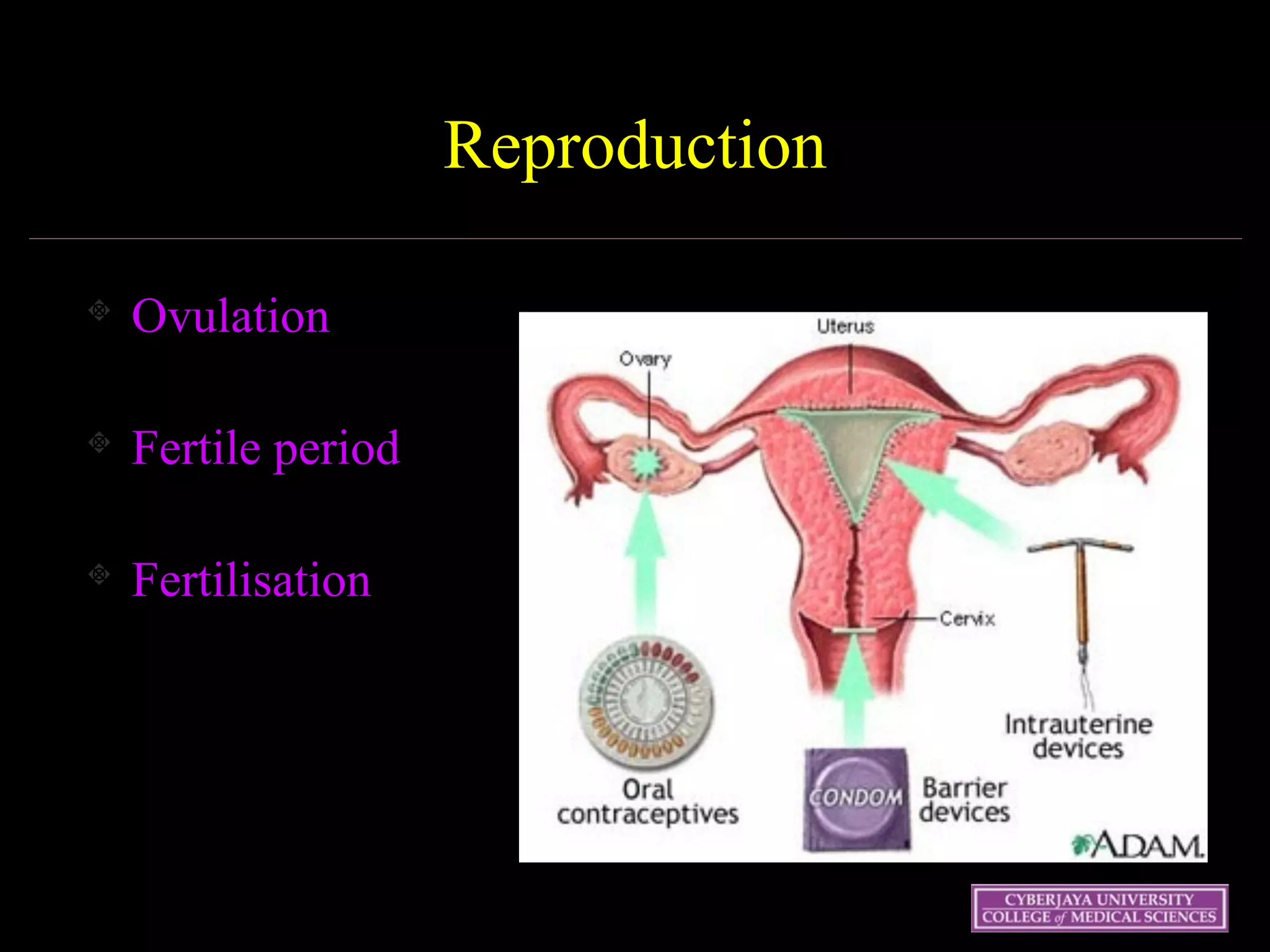 19 May 07 4
Reproduction
Ovulation
Fertile period
Fertilisation
!
 