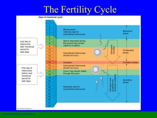 The Fertility Cycle 
Copyright © 2010 Pearson Education, Inc. 
 