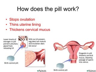 How does the pill work? Stops ovulation Thins uterine lining Thickens cervical mucus 