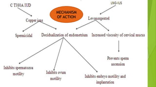 MECHANISM
OF ACTION
 