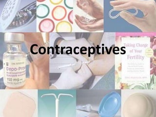 Contraceptives
 