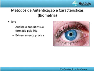 Íris Analisa o padrão visual formado pela íris Extremamente precisa Métodos de Autenticação e Características (Biometria) 