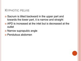KYPHOTIC PELVIS
 Sacrum is tilted backward in the upper part and
towards the lower part, it is narrow and straight
 APD is increased at the inlet but is decreased at the
outlet
 Narrow suprapubic angle
 Pendulous abdomen
 