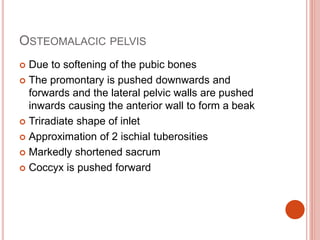 OSTEOMALACIC PELVIS
 Due to softening of the pubic bones
 The promontary is pushed downwards and
forwards and the lateral pelvic walls are pushed
inwards causing the anterior wall to form a beak
 Triradiate shape of inlet
 Approximation of 2 ischial tuberosities
 Markedly shortened sacrum
 Coccyx is pushed forward
 