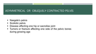 ASYMMETRICAL OR OBLIQUELY CONTRACTED PELVIS
 Naegele’s pelvis
 Scoliotic pelvis
 Disease affecting one hip or sacroiliac joint
 Tumors or fracture affecting one side of the pelvic bones
during growing age
 