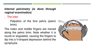 Internal pelvimetry (is done through
vaginal examination)
 The inlet:
o Palpation of the fore pelvis (pelvic
brim):
The index and middle fingers are moved
along the pelvic brim. Note whether it is
round or angulated, causing the fingers to
dip into a V-shaped depression behind the
symphysis.
 