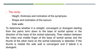  The cavity:
o Height, thickness and inclination of the symphysis.
o Shape and inclination of the sacrum.
o Side walls:
To determine whether it is straight, convergent or divergent starting
from the pelvic brim down to the base of ischial spines in the
direction of the base of the ischial tuberosity. Then relation between
the index and middle finger of the base of ischial spines and the
thumb of the other hand on the ischial tuberosity is detected. If the
thumb is medial the side wall is convergent and if lateral it is
divergent.
 