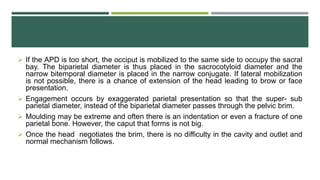  If the APD is too short, the occiput is mobilized to the same side to occupy the sacral
bay. The biparietal diameter is thus placed in the sacrocotyloid diameter and the
narrow bitemporal diameter is placed in the narrow conjugate. If lateral mobilization
is not possible, there is a chance of extension of the head leading to brow or face
presentation.
 Engagement occurs by exaggerated parietal presentation so that the super- sub
parietal diameter, instead of the biparietal diameter passes through the pelvic brim.
 Moulding may be extreme and often there is an indentation or even a fracture of one
parietal bone. However, the caput that forms is not big.
 Once the head negotiates the brim, there is no difficulty in the cavity and outlet and
normal mechanism follows.
 