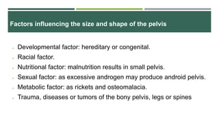 Factors influencing the size and shape of the pelvis
 Developmental factor: hereditary or congenital.
 Racial factor.
 Nutritional factor: malnutrition results in small pelvis.
 Sexual factor: as excessive androgen may produce android pelvis.
 Metabolic factor: as rickets and osteomalacia.
 Trauma, diseases or tumors of the bony pelvis, legs or spines
 