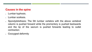 Causes in the spine
 Lumbar kyphosis.
 Lumbar scoliosis.
 Spondylolisthesis: The 5th lumbar vertebra with the above vertebral
column is pushed forward while the promontory is pushed backwards
and the tip of the sacrum is pushed forwards leading to outlet
contraction.
 Coccygeal deformity
 