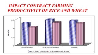 IMPACT CONTRACT FARMING 
PRODUCTIVITY OF RICE AND WHEAT 
 