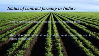 Status of contract farming in India : 
• Nearly Five lakh hectares is under contract farming India 
• More than 600 national and multinational companies are in 
contract farming 
 