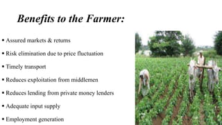 Benefits to the Farmer: 
 Assured markets & returns 
 Risk elimination due to price fluctuation 
 Timely transport 
 Reduces exploitation from middlemen 
 Reduces lending from private money lenders 
 Adequate input supply 
 Employment generation 
 