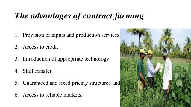Types of contract farming pdf image