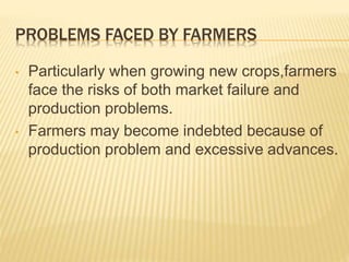 PROBLEMS FACED BY FARMERS
• Particularly when growing new crops,farmers
face the risks of both market failure and
production problems.
• Farmers may become indebted because of
production problem and excessive advances.
 