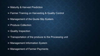 ➢ Farmer Training on Harvesting & Quality Control
➢ Management of the Quota Slip System.
➢ Produce Collection
➢ Quality Inspection
➢ Transportation of the produce to the Processing unit
➢ Management Information System
➢ Management of Farmer Payments
➢ Maturity & Harvest Prediction
 