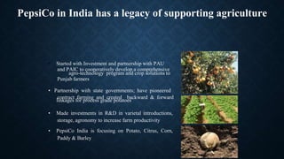 PepsiCo in India has a legacy of supporting agriculture
and PAIC to cooperatively develop a comprehensive
Punjab farmers
contract farming and created backward & forward
storage, agronomy to increase farm productivity
Paddy & Barley
• Started with Investment and partnership with PAU
agro-technology program and crop solutions to
• Partnership with state governments; have pioneered
linkages for process grade potatoes
• Made investments in R&D in varietal introductions,
• PepsiCo India is focusing on Potato, Citrus, Corn,
 