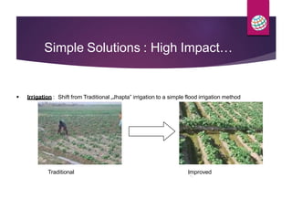  Irrigation : Shift from Traditional „Jhapta‟ irrigation to a simple flood irrigation method
Traditional Improved
Simple Solutions : High Impact…
 