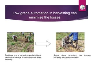 Traditional form of harvesting results in higher
mechanical damage to the Potato and lower
efficiency
Simple drum harvesters can improve
efficiency and reduce damages.
Low grade automation in harvesting can
minimise the losses
 