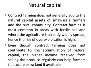 Natural capital
• Contract farming does not generally add to the
natural capital assets of small-scale farmers
and the rural community. Contract farming is
most common in areas with fertile soil and
where the agriculture is already widely spread,
hence the risk of overexploitation is high.
• Even though contract farming does not
contribute to the accumulation of natural
capital, the higher income received from
selling the produce regularly can help farmers
to acquire extra land if available.
 