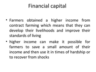 Financial capital
• Farmers obtained a higher income from
contract farming which means that they can
develop their livelihoods and improve their
standards of living
• higher income can make it possible for
farmers to save a small amount of their
income and then use it in times of hardship or
to recover from shocks
 