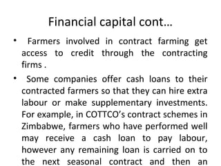 Financial capital cont…
• Farmers involved in contract farming get
access to credit through the contracting
firms .
• Some companies offer cash loans to their
contracted farmers so that they can hire extra
labour or make supplementary investments.
For example, in COTTCO’s contract schemes in
Zimbabwe, farmers who have performed well
may receive a cash loan to pay labour,
however any remaining loan is carried on to
the next seasonal contract and then an
 