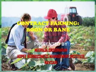 CONTRACT FARMING:
BOON OR BANE
PRESENTED BY
NEERAJA SASIDHARANNEERAJA SASIDHARAN
ASPEE AGRIBUSINESS MANAGEMENT INSTITUTEASPEE AGRIBUSINESS MANAGEMENT INSTITUTE
NAVSARINAVSARI
1
 