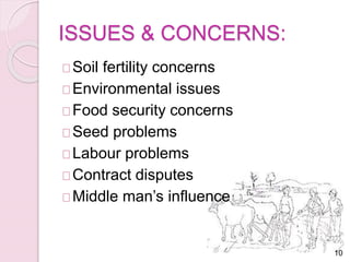 ISSUES & CONCERNS: 
Soil fertility concerns 
Environmental issues 
Food security concerns 
Seed problems 
Labour problems 
Contract disputes 
Middle man’s influence 
10 
 