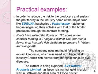 Practical examples: 
In order to reduce the risk to the producers and sustain 
the profitability in the industry some of the major firms 
like SUGUNA hatcheries , Venkateswar hatcheries 
bagan intigrating their activies with that of the broiler 
producers through the contract farming. 
Ryots have raised the flower on 125 acres under 
contract farming in Thanjavur district The four-month 
flower crop has paid rich dividends to growers in Vallam 
and Sengipatti. 
The company uses marigold for taking an 
extract Oleoresin, which was used in nutraceutical 
industry.Carotin rich extract from marigold can cure eye 
diseases. 
The extract is being exported. AVT Natural 
Products Limited has been raising marigold in a big 
way in Sathyamangalam area of Erode district, 
8 
 