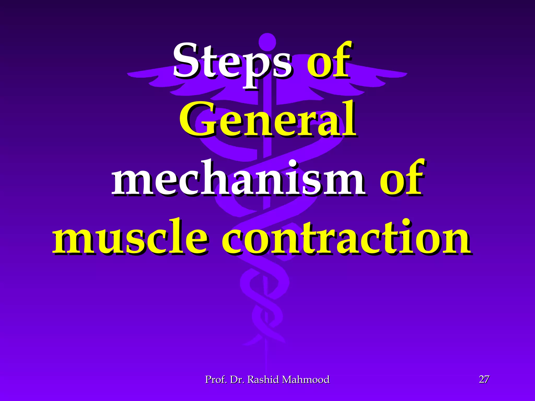 2727
StepsSteps ofof
GeneralGeneral
mechanismmechanism ofof
muscle contractionmuscle contraction
Prof. Dr. Rashid MahmoodProf. Dr. Rashid Mahmood
 