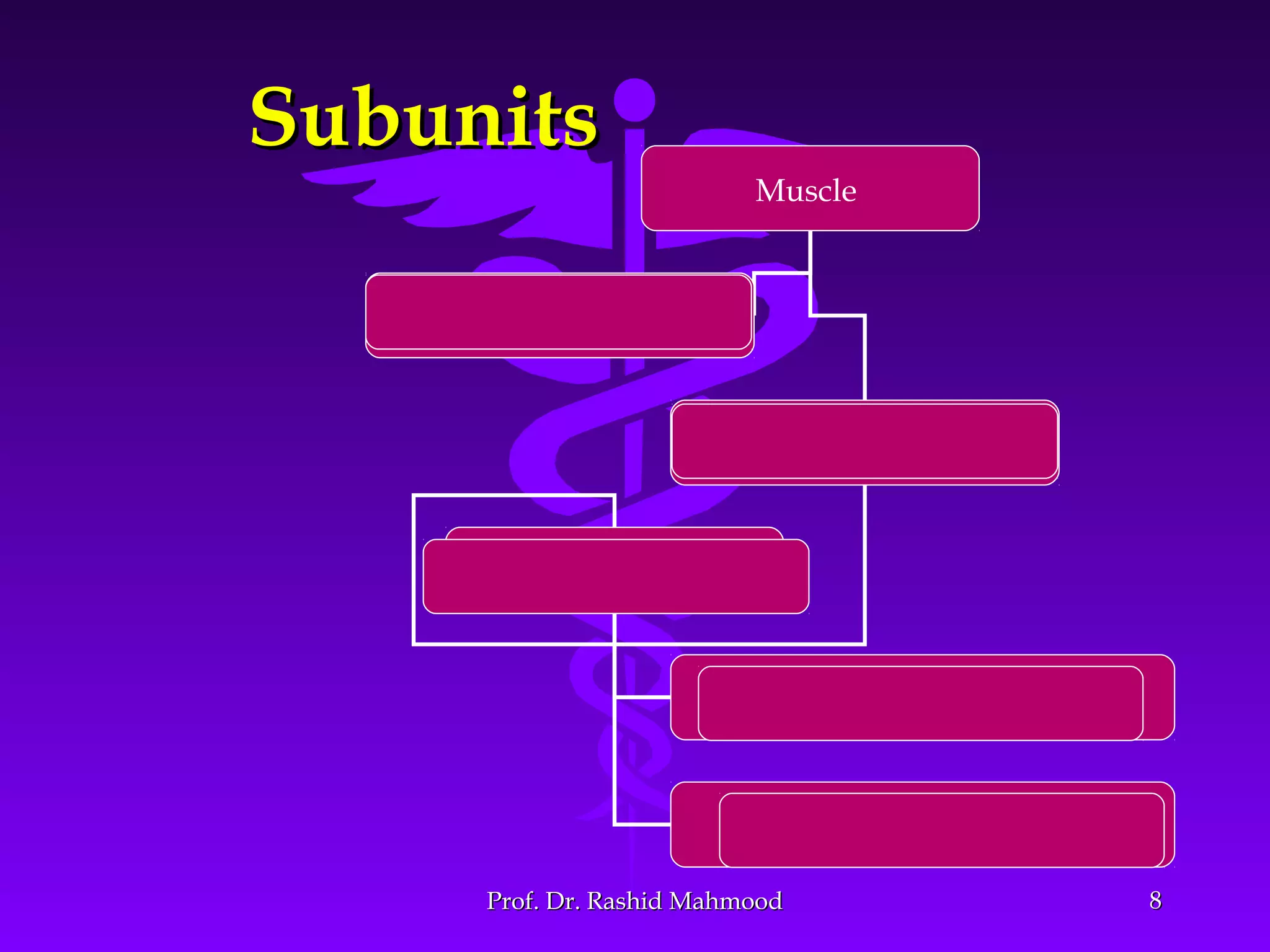 88
SubunitsSubunits
Muscle
Muscle Fiber
Myofibrils
Myosin Filaments
Actin Filaments
Muscle fasciculus
Prof. Dr. Rashid MahmoodProf. Dr. Rashid Mahmood
 