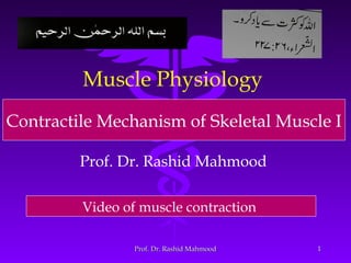 11
Muscle Physiology
Prof. Dr. Rashid Mahmood
Contractile Mechanism of Skeletal Muscle I
Prof. Dr. Rashid MahmoodProf. Dr. Rashid Mahmood
Video of muscle contraction
 