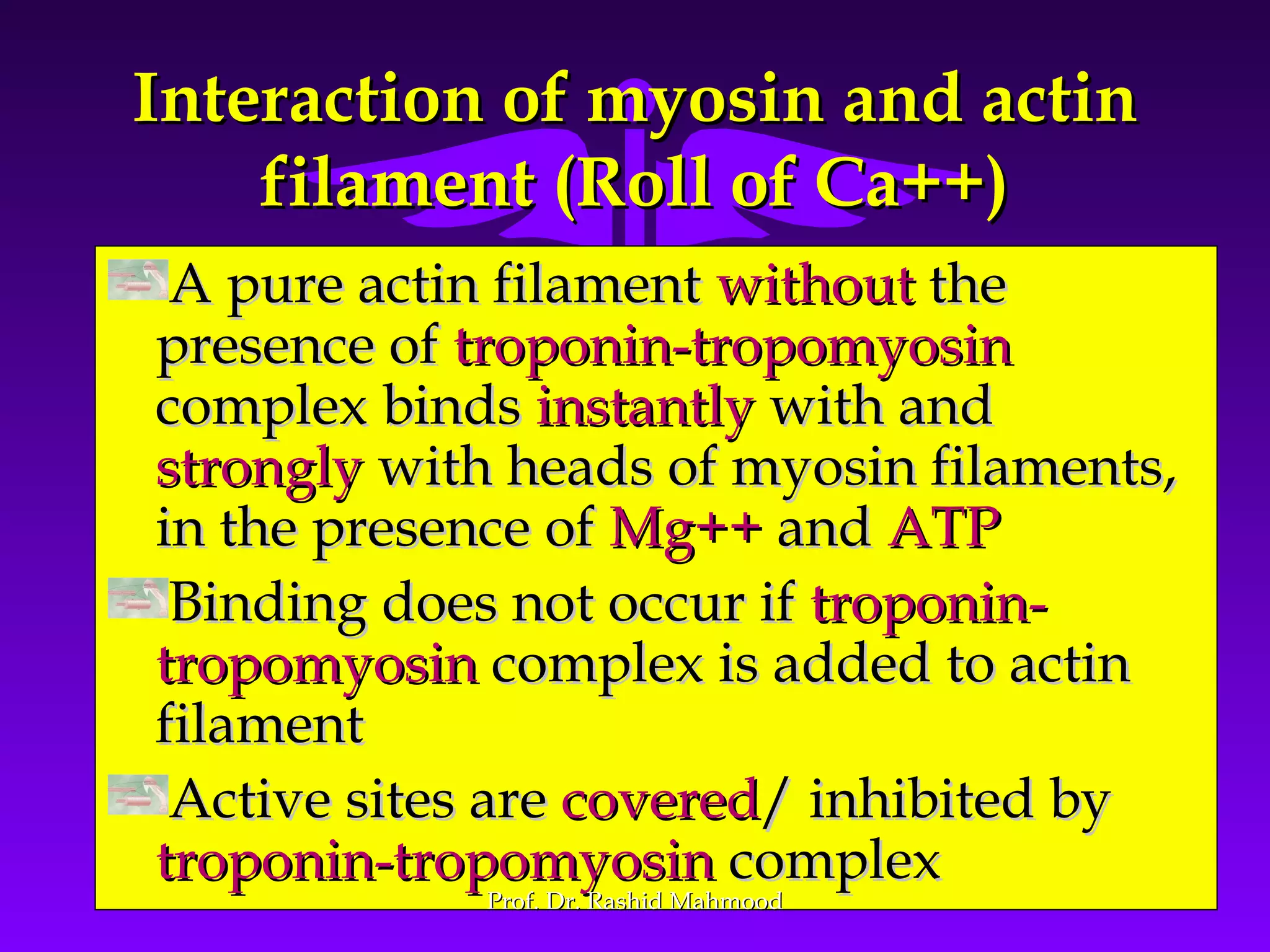 Contractile mechanism of skeletal muscle 2 | PPT