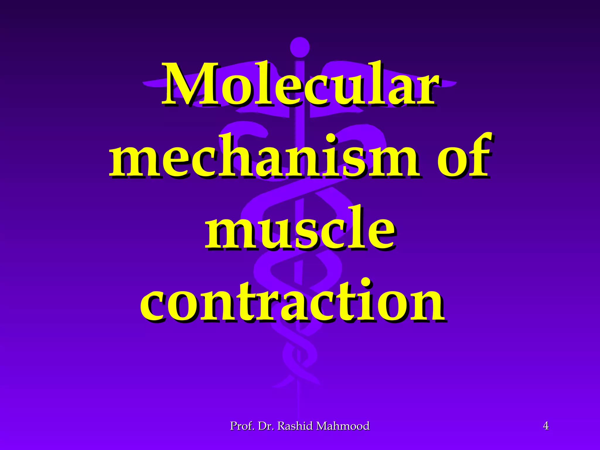 Contractile mechanism of skeletal muscle 2 | PPT